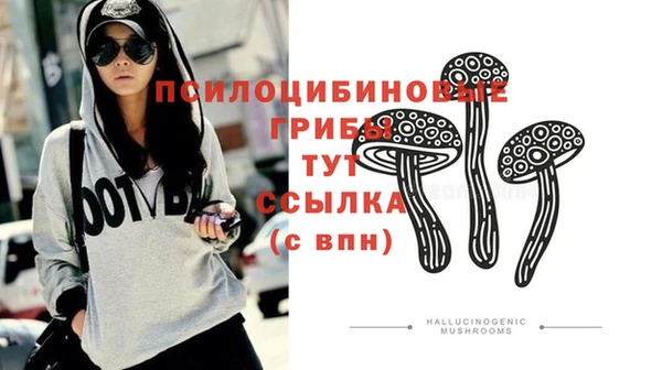 молекула духа Надым